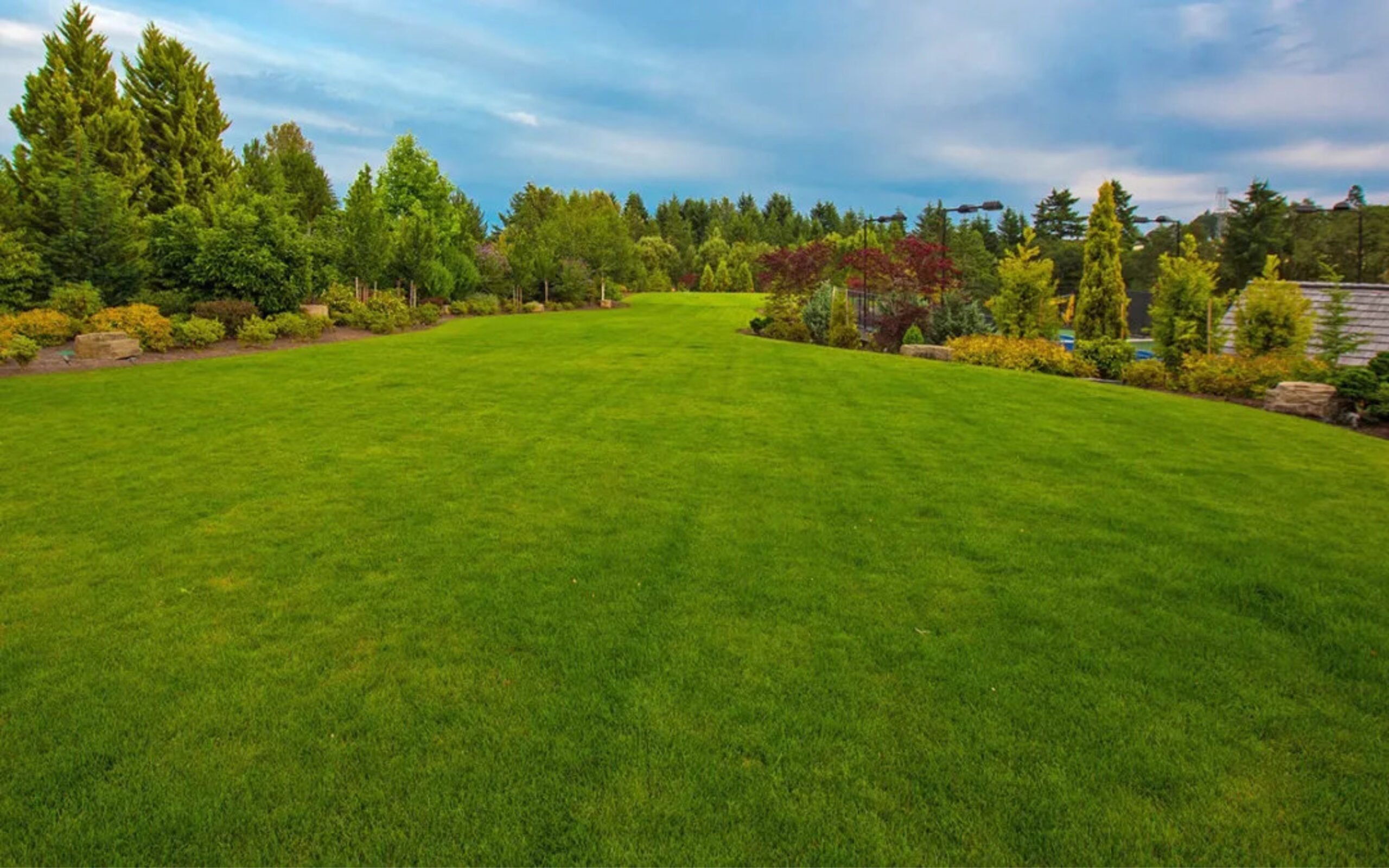 lawn
